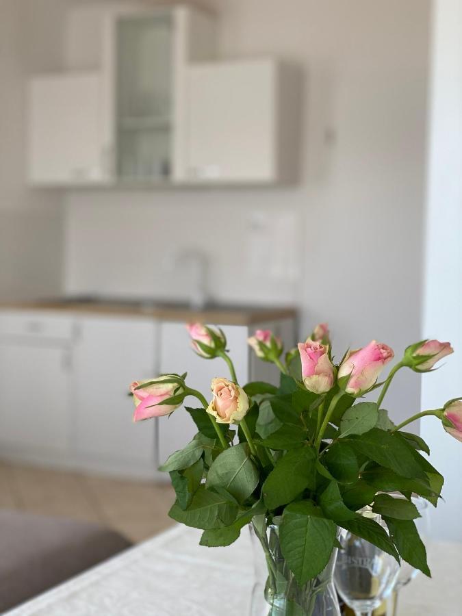 Studio M&n Apartment *